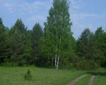 Окружающая природа