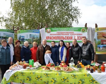 Дожинки, 2016