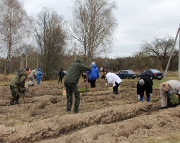 Депутаты районного Совета на Неделе леса -2018