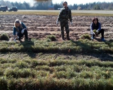 Республиканский субботник