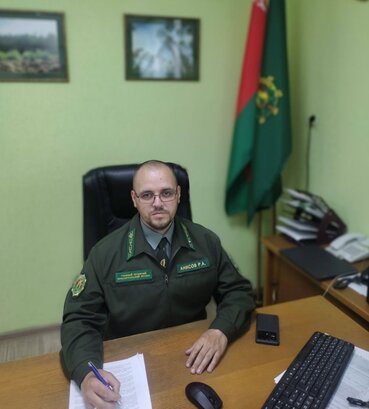 Главный лесничий