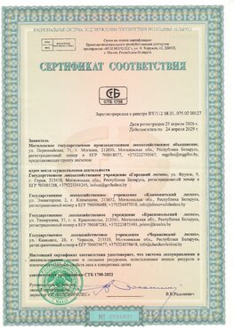 sertifikat-LSB-2