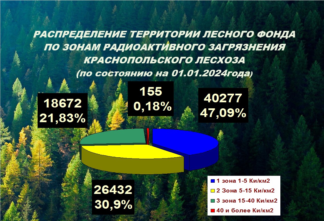 Радиоактивное загрязнение территории лесного фонда лесхоза | Краснопольский  лесхоз