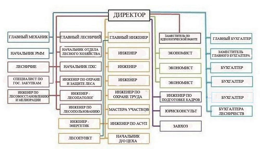 Должности в охране. Организационная структура предприятия лесхоз. Схема организационной структуры лесного хозяйства. Организационная структура управления лесничества. Организационная структура предприятия лесного хозяйства.